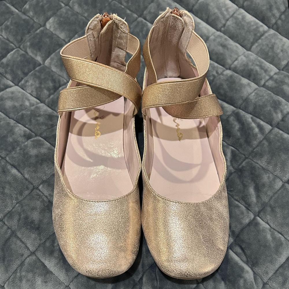 Nina , Marissa rose gold distressed ballet flat with elastic strap.